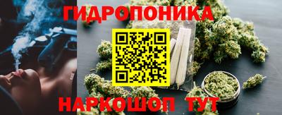 дурь Ачхой-Мартан