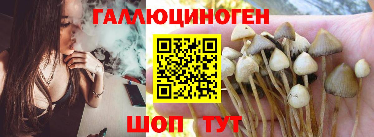 Галлюциногенные грибы прущие грибы  Вход с VPN  Воскресенск 